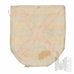 PSZnZ Recognition patch of the 2nd Armored Regiment BeVo 1st Armored Division.