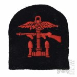 PSZnZ Commando Commandos "Combined Operations" patch.