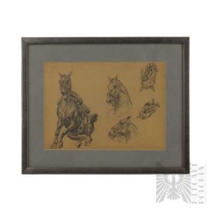 Richard Prauss (1902-1955) Studio di un cavallo