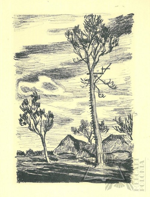 Autolitografii Artystów Legionistów 1935 - Stanisław Kamocki „Stanowisko Obserwatora I” Niesygnowany