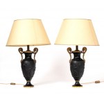 A pair of French bronze lamps