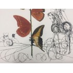 Salvador Dali (1904 - 1989), Portefeuille de 10 lithographies de la série Flora Dalinae