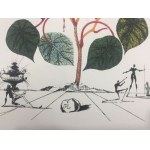Salvador Dali (1904 - 1989), Portefeuille de 10 lithographies de la série Flora Dalinae