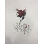 Salvador Dali (1904 - 1989), Portefeuille de 10 lithographies de la série Flora Dalinae