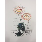 Salvador Dali (1904 - 1989), Portefeuille de 10 lithographies de la série Flora Dalinae