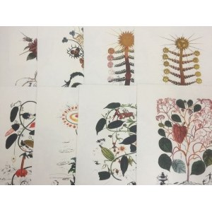 Salvador Dali (1904 - 1989), Portefeuille de 10 lithographies de la série Flora Dalinae