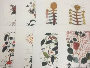 Salvador Dali (1904 - 1989), Portfolio of 10 lithographs from the series Flora Dalinae