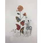 Salvador Dali (1904 - 1989), Portefeuille de 10 lithographies de la série Flora Dalinae