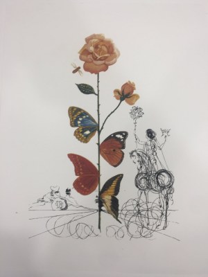 Salvador Dali (1904 - 1989), Portfolio of 10 lithographs from the series Flora Dalinae