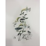 Salvador Dali (1904 - 1989), Portefeuille de 10 lithographies de la série Flora Dalinae