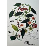 Salvador Dali (1904 - 1989), Portefeuille de 10 lithographies de la série Flora Dalinae