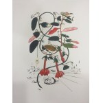 Salvador Dali (1904 - 1989), Portefeuille de 10 lithographies de la série Flora Dalinae
