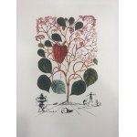 Salvador Dali (1904 - 1989), Portefeuille de 10 lithographies de la série Flora Dalinae