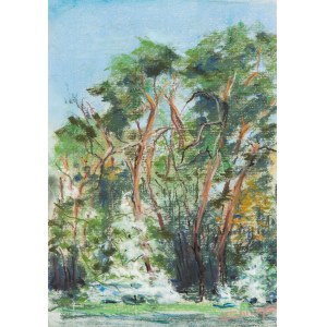 Zbigniew Matysek (geb. 1939), Masowische Landschaft