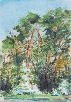 Zbigniew Matysek (b. 1939), Mazovian Landscape