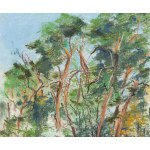 Zbigniew Matysek (geb. 1939), Masowische Landschaft