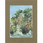 Zbigniew Matysek (geb. 1939), Masowische Landschaft
