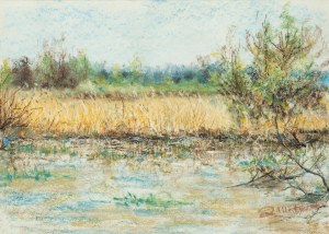Zbigniew Matysek (ur. 1939), 