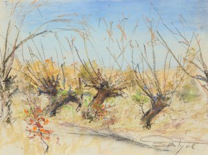 Zbigniew Matysek (b. 1939), Mazovian Landscape