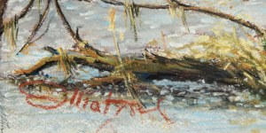 Zbigniew Matysek (ur. 1939), 