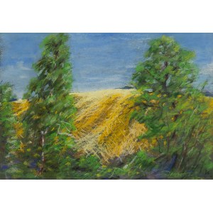 Zbigniew Matysek (nar. 1939), Mazovská krajina, 2005