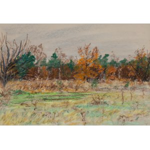 Zbigniew Matysek (b. 1939), Mazovian Landscape, 2002