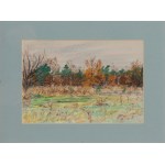 Zbigniew Matysek (b. 1939), Mazovian Landscape, 2002