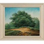 Author unknown, Landscape