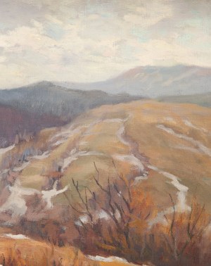 Jerzy Miszalski (nar. 1930), 
