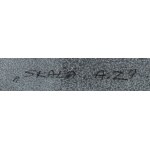 Piotr Smolnicki (ur. 1952, Warszawa), Skała A.Z., 1999