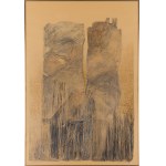 Piotr Smolnicki (ur. 1952, Warszawa), Zatopienie, 1994
