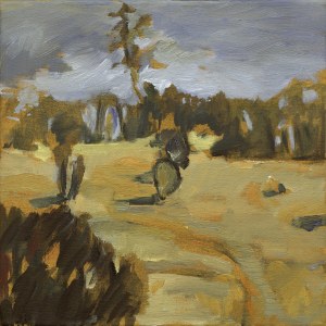 Barbara BOKOTA-TOMALA (ur. 1967), Wspomnienia z Arłamowa IV, 2007