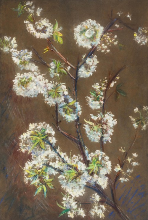 Leon Wyczółkowski (1852 Huta Miastkowska k. Kielc - 1936 Warszawa), Kwitnąca grusza