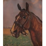 Jan Erazm Kotowski (1885 Opatkowiczki k. Pińczowa - 1960 Milanówek), Głowa konia