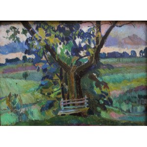 Stanisław Kamocki (1875-1944), Strom