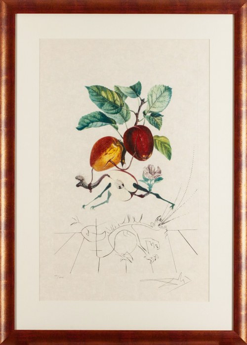 Salvador Dalí (1904 Figueres - 1989 Figueres), Smocze jabłko (Pomme dragon), z cyklu 