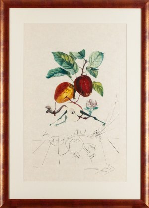 Salvador Dalí (1904 Figueres - 1989 Figueres), Smocze jabłko (Pomme dragon), z cyklu 