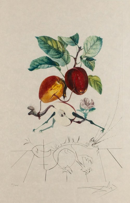 Salvador Dalí (1904 Figueres - 1989 Figueres), Smocze jabłko (Pomme dragon), z cyklu 