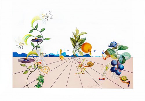 Salvador Dalí (1904 - 1989), Pamplemousse Érotique z cyklu Flordali - Les Fruits