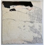 CORRADO COSTA, CORRADO COSTA, Il volo del pipistrello