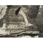 EMILIO VEDOVA, G.T.-E.V. 10/89 W.24