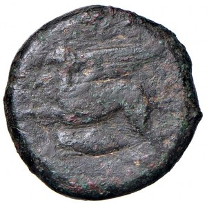 SICILIA Kainon (360-340 a.C.) AE - Griffone che balza a s. -...