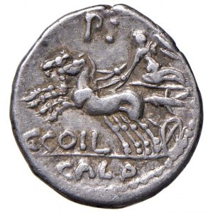 Coelia - C. Coilius Caldus - Denarius (104 v. Chr.) Kopf eines römischen...