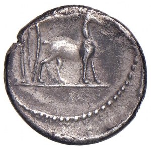 Plancia - Cn. Plancius - Denario (55 a.C.) Testa di Diana Pl...
