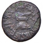 Žiūrėti panašius