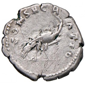 Faustina I (moglie di Antonino Pio) Denario - Busto drappegg...