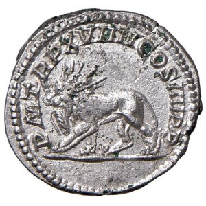 Caracalla (211-217) Denar - Kopf Lorbeer r. - R/ Löwe...