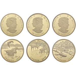 CANADA 30 Dollari 2019 - AG dorato (g 62,69) Lotto di tre mo...