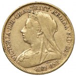 Žiūrėti panašius