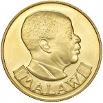 Vezi asemănătoare